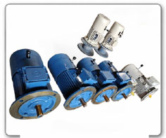 Brake Motor