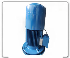 Brake Motor
